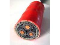 ZR-RVSP2*2*1.5阻燃雙絞電纜價(jià)格_no.211